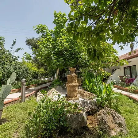 Tropic Club & - Sidé