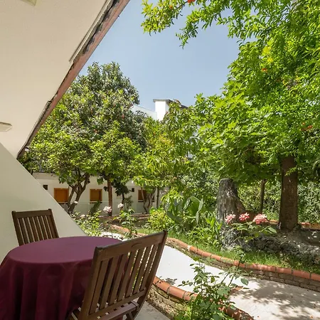 ホテル Tropic Club & -