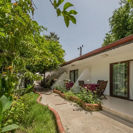 Tropic Club & - ホテル シダ