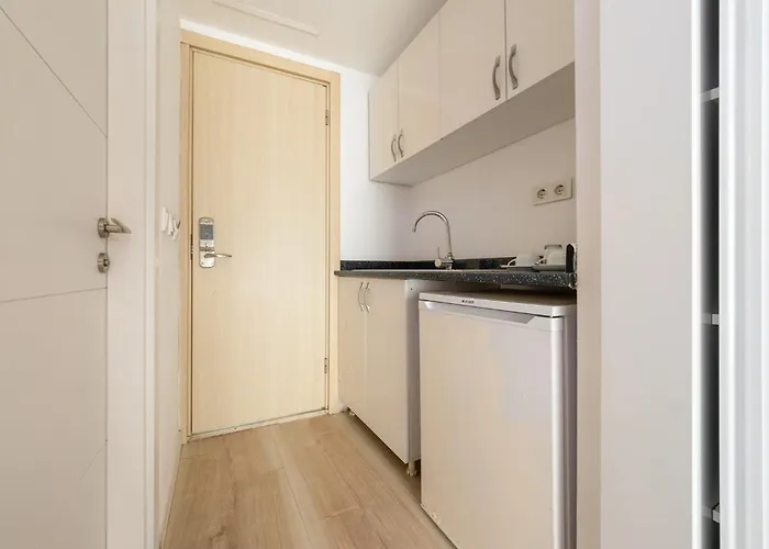 Tropic Club & - 시데