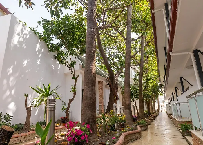 Tropic Club & - 호텔