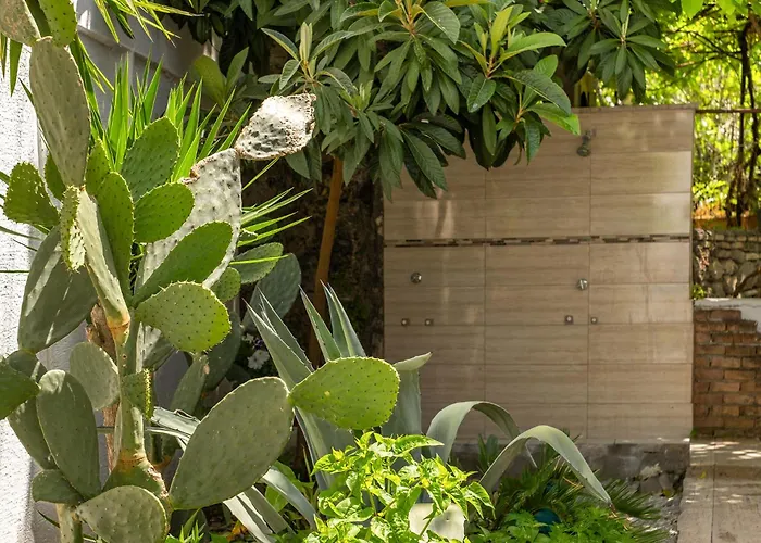 Hotel Tropic Club & - 3*