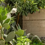 Hotel Tropic Club & - 3*