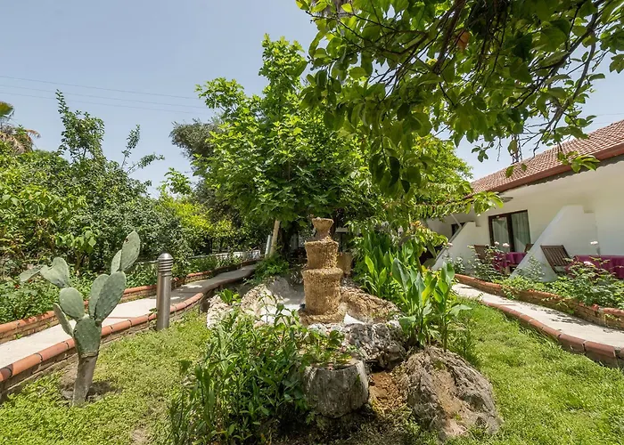 Tropic Club & - Side